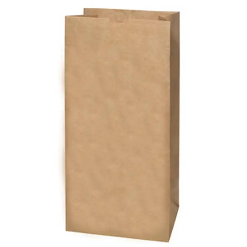 2 Ply Lawn & Leaf Bag 5 Pack 1