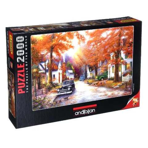 A Moment On Memory Lane 2000 Pice Puzzle 1