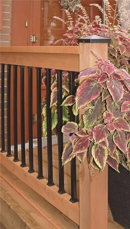 Baluster Sq 3-4X36in Blk 1