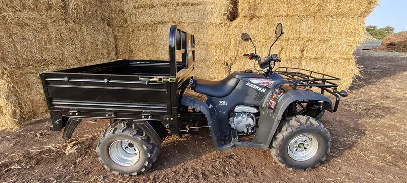 Bashan I-Go X Atv Farm Utility Quad Vehicle 250Cc Tipper 1