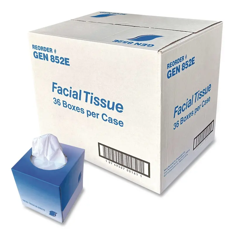 Facial Tissue 2-Ply Cube Box 80Ct 1