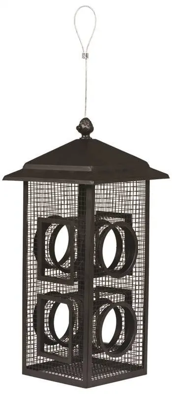 Feeder Bird Fly-Through 2Lb 1