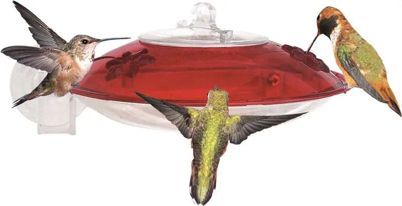 Feeder Hummingbird Round 6Oz 1