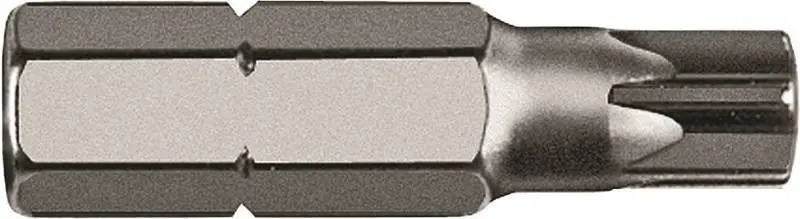 Insert Bit T25 X 1In 1