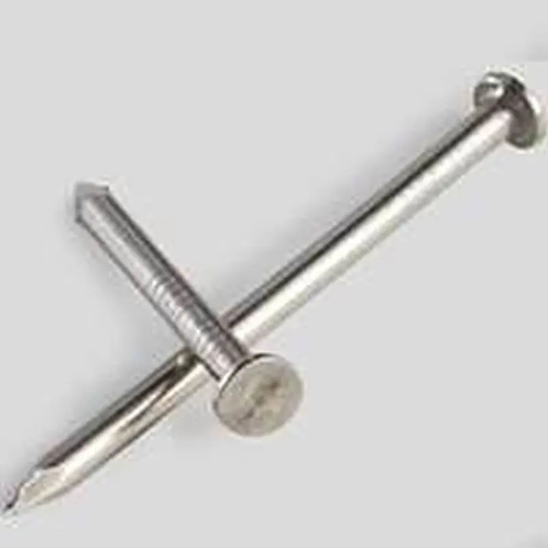 Nail Joist 316Ss 9X1-1-2 5Lb 1