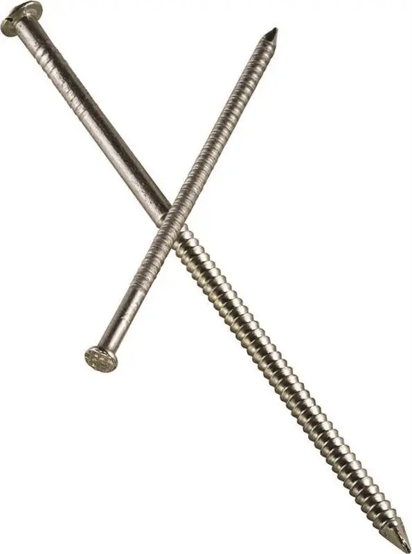 Nail Sdg Wood 316Ss 2 In 1Lb 1