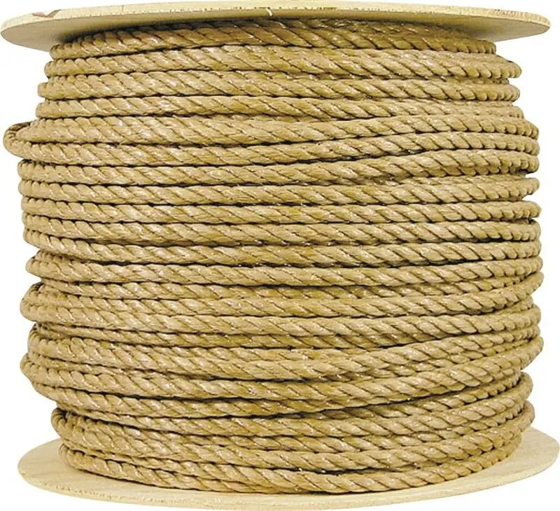 Rope Polyp Twist 3-8X600 1