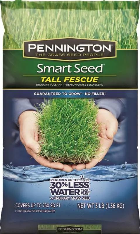 Seed-Tall Fescue Blend 3# 1