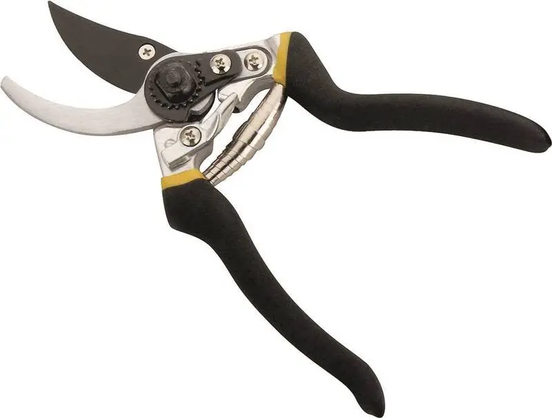 Shears Pruning Bypass 8 Inch L 1