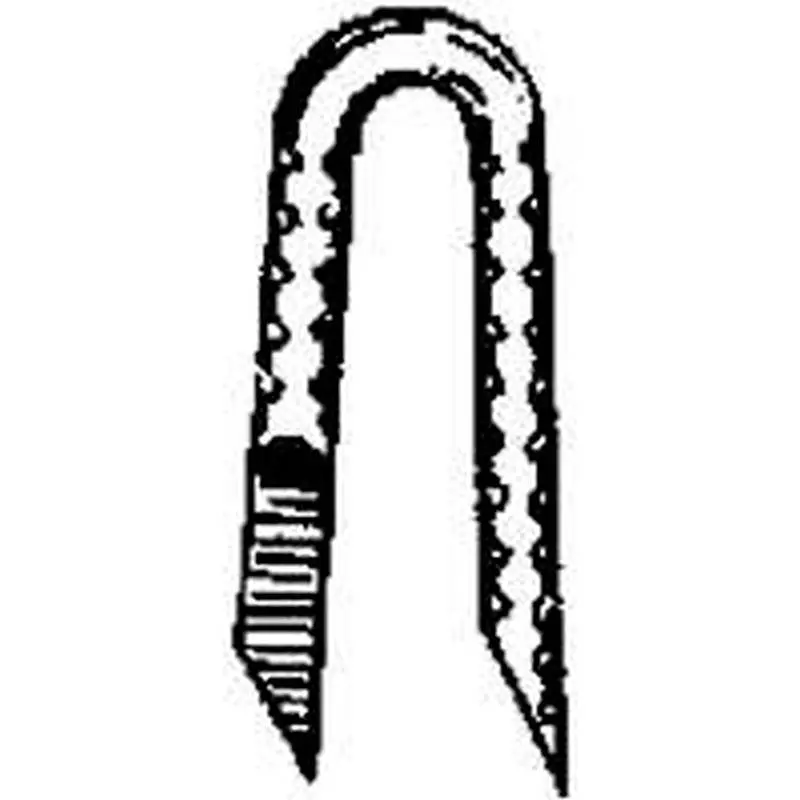 Staple Panel Galv 2-1-2 25Lb 1