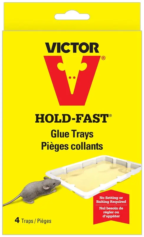 Trap Mouse Glue 4Pk 1